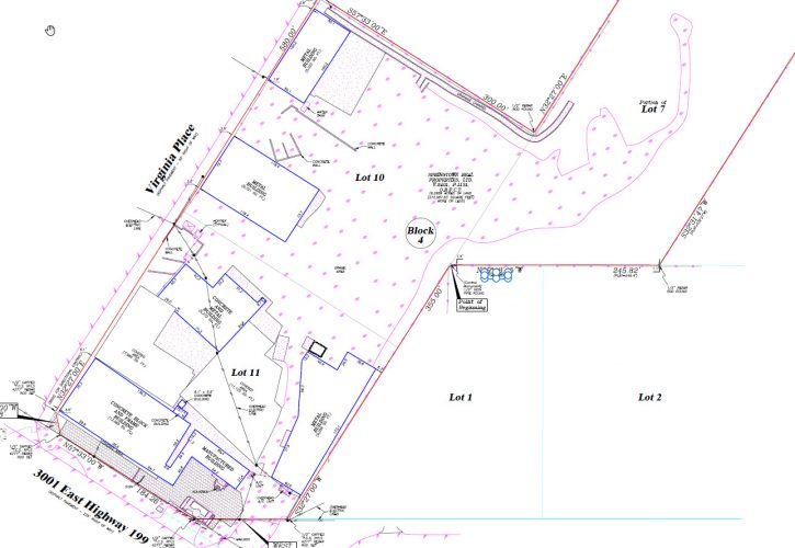 Survey image